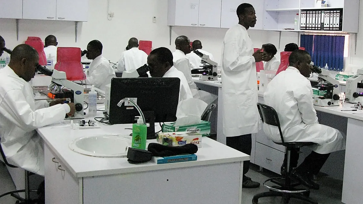 Laboratory staff examining samples under microscopes