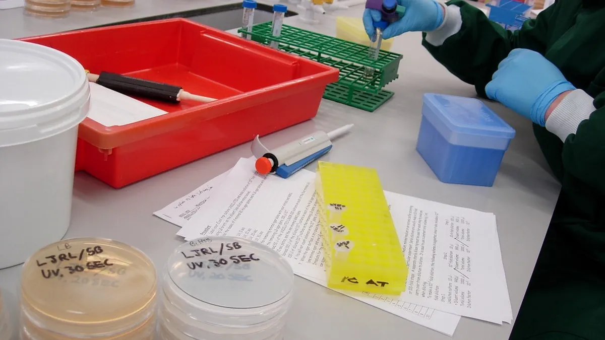 Laboratory scientist using a pipette to test tumor samples for biomarkers